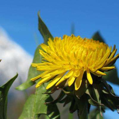 56677彩票app下载