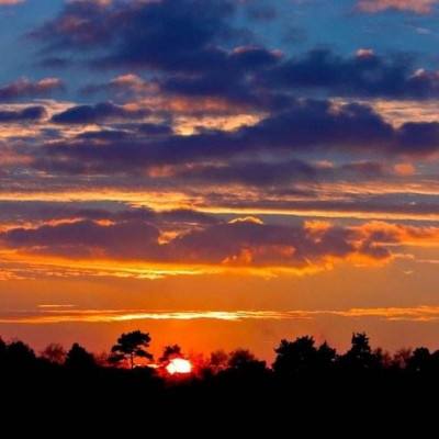 BSport·APP在线登录