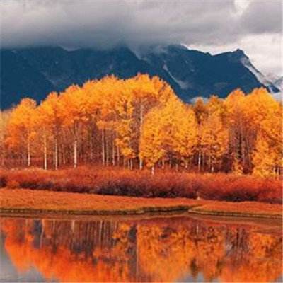 开玩棋牌下载手机版截图